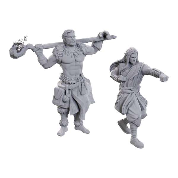 Archdruid & Martial Arts Adept Miniatures – Nolzur’s Unpainted Character Set
