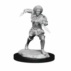 Unpainted Kaya Miniature from Magic: The Gatherin