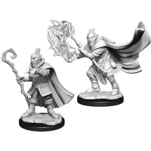 Critical Role Hobgoblin Wizard and Male Druid Unpainted Miniatures