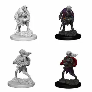 D&D Nolzurs Marvelous Unpainted Miniatures Drow