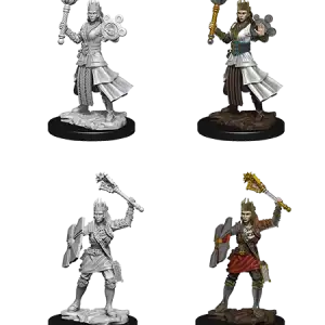D&D Nolzurs Marvelous Unpainted Miniatures Female Human Cleric