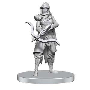 D&D Nolzur’s Marvelous Miniatures Assassin and Berserker miniatures