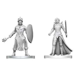 D&D Nolzur's Marvelous Miniatures: Black Gauntlet & Zhentilar Paladin of Bane